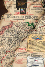 Vintage-style Mod Raiders leather aviator jacket - Image n°4