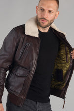 Aviator Patrouille de France brown - Image n°6