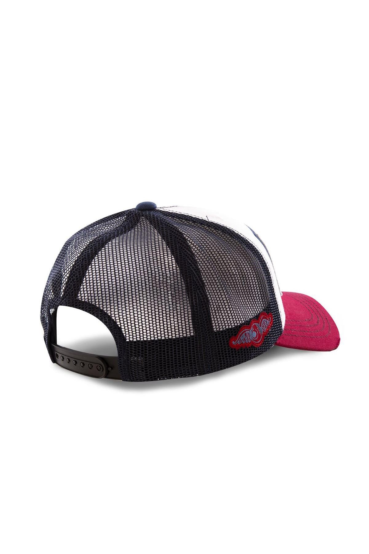 Kenneth Howard tricolor cap - Image n°3
