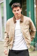 Taupe cotton shirt-collar jacket with brown collar - Image n°3