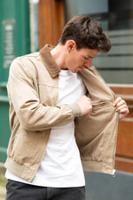 Taupe cotton shirt-collar jacket with brown collar - Image n°5