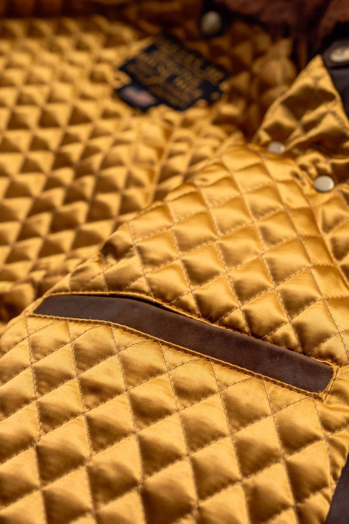 Brown Perfecto® jacket with removable collar, supple Horween horsehide - Image n°10